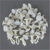 50 Short Shank Strapping Rivets for Patio Furniture Webbing on Lawn Chair Lounges...