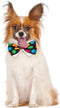 Polka Dot Pet Bowtie, Small/Medium...