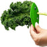 Factory direct sales,(1 blue and 1 green) Herb Stripper, 8 holes Kitchen Herb Leaf Stripping Tool, Herb Pealer Suit for Kale, Collard Greens, Thym...