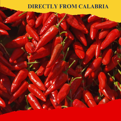 Calabrian Bomba Hot Pepper Sauce/Spread (10.9 oz) 310g, Certified Authentic, Bomba Calabrese, Spicy Mixed Vegetable Spread, Product of Italy, L'Or...