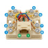 RJ31X Phone Jack Telephone Terminal Block with Shorting Bar Surface Mount 8 Screw Terminals to RJ31X 8P8C Female...
