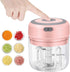 Electric Garlic Chopper, 250ML Food Chopper USB, Mini Vegetable Chopper, Garlic Mincer, Onion Chopper, Portable Small Food Processor for Garlic, G...