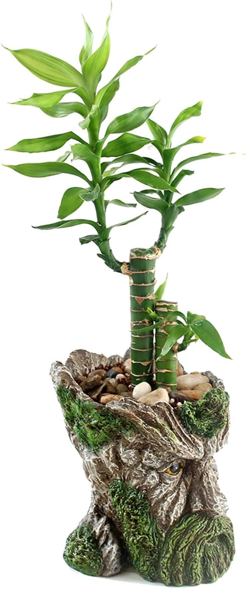 Funny Planter Head Planter with Drainage Hole Resin Plant Pot Pencil Holder Desk Storage(Mustache Man)...