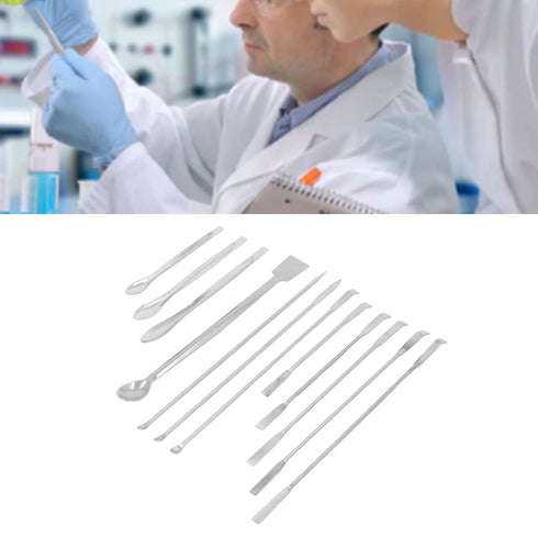 Laboratory Spatula, Stainless Steel Medicine Spoon Laboratory Scraper Stainless Steel Laboratory Scraper Mini Spoon Set for Trace Drugs, Lab Spatu...