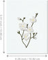 Pear Blossom Plant Metal Cutting Dies for Card Making, Paper Embossing Die Cuts Kit Templates, Storage Pockets Supplies, Photo Frame Album DIY Scr...