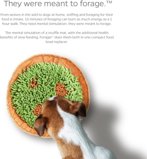 Pet Parents® Forager® Bowls, Slow Feeder Dog Bowls with SoftSnout™ & Non-Slip Backing Technology, Dog Puzzle Toys, Dog Snuffle Mat & Snuffle Mat f...