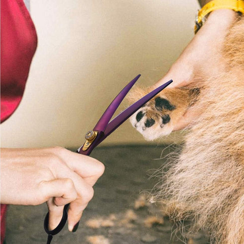 Dream Reach 7.0 inches Professional Decompressed Elastic Handle Pet Grooming Scissors Set,Straight & Chunker & 2 Curved scissors 4pcs set for Dog ...