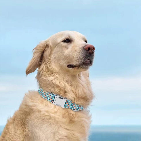 Dog Collar Metal Buckle Pet Collar, Cute Colors Cat Collar, Adjustable Breathable Soft Suitable for Small Medium Large and Boy Girl Dogs (Medium, ...