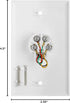 Cmple - Single RJ11 Connector with 4 Conductors Phone Wall Plate Jack 6P4C Telephone Single Jack Wallplate with Screws...