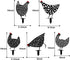 5 Pieces Chicken Yard Garden -Hollow Out Rooster Animals Shape Yard Decoration Art Decoration for Yard Lawn, Garden, Pathway,Outdoor...
