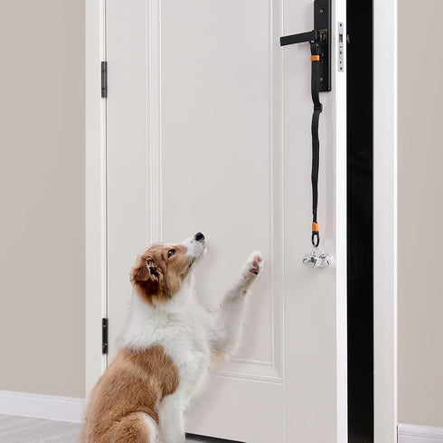 Puppy Bell Doorbells with Hanging Ring, Dog Bells for Potty Training, Attach to Doorknob or Anywhere Near the Door, Length and Height Adjustable, ...