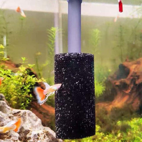 5Pcs Black Aquarium Filter Sponges,Aquarium Pre-Filter Sponges Filter Intake Sponge Strainer Foam Guard Cover for Freshwater and Saltwater Fish Ta...