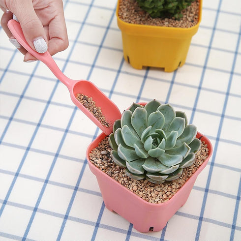 Sosoport Small Succulent Shovels Plastic - 60Pcs Small Garden Shovels - Plant Root Shovels Soil Scoop Shovels Plastic Trowel Garden Tool Succulent...