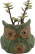 Ogrmar 6Pack Owl Plant Window Boxes Cute Owl Flower Pot/Modern Ceramic Succulent Planter Pots/Tiny Flower Plant Containers Animal Decor (Owl Flowe...