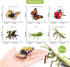 Volnau Bug Toys Figurines 12PCS Insect Animal Figures for Kids Toddlers Decorations Educational Bee Beetle Mantis Spider Ladybug Butterfly Plastic...