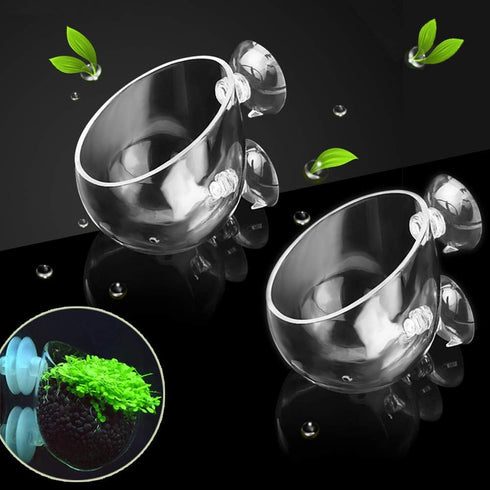 capetsma 2X Crystal Glass Aquatic Plant Pot, Planter, Red Shrimp Live Plants Fish Tank Holder with 4X Suction Cups for Aquarium Aquascape Decorati...