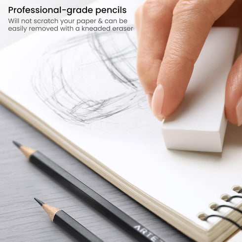 Arteza Professional Drawing Sketch Pencils Set of 12, Medium (6B - 4H), Art Supplies for Drawing Art, Sketching, Shading, Artist Pencils for Begin...