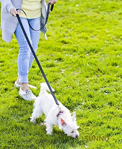 6FT Reflective Dog Leash for Large&Medium and Small Dogs,Nylon Leashes for Walking and Training,6 Foot Leash with D Ring, 6 FT (1 inch X 6FT, Blac...