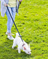 6FT Reflective Dog Leash for Large&Medium and Small Dogs,Nylon Leashes for Walking and Training,6 Foot Leash with D Ring, 6 FT (1 inch X 6FT, Blac...