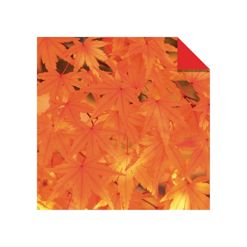 Origami Paper 200 sheets Nature Patterns 6" (15 cm): Tuttle Origami Paper: High-Quality Double Sided Origami Sheets Printed with 12 Different Desi...
