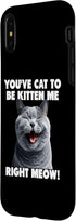 iPhone X/XS You've Cat to Be Kitten Me Right Meow Funny Lines Case...