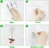 HangerSpace Suction Cup Hooks, 2.5 Inches Clear Suction Cups with Metal Hooks Large Suction Cup for Kitchen Bathroom Shower Wall Window Door - 8 P...