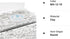 4000 Pcs White Clay Beads for Bracelets Making, Polymer Spacer Flat Beads DIY for Jewelry Necklace Earring Making Kit, Preppy Aesthetic Heishi Hes...