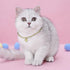 Dog Collar and Cat Chain Necklace Stainless Steel Adjustable 18K Gold Heart-Shaped Necklace for Small Pets Cats Kitten Puppy (Gold, 7 inch)...