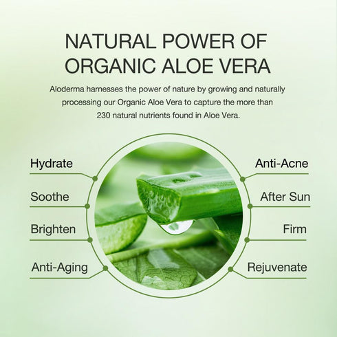 Aloderma Hydrating Sheet Face Masks with 87% Organic Aloe Vera - 5 pack Moisturizing Facial Masks with Hyaluronic Acid & Bergamot Oil for Nourishe...