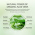 Aloderma Hydrating Sheet Face Masks with 87% Organic Aloe Vera - 5 pack Moisturizing Facial Masks with Hyaluronic Acid & Bergamot Oil for Nourishe...