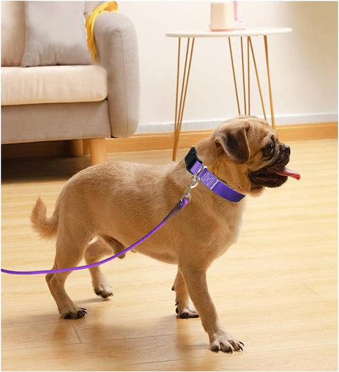 6FT/8FT/10FT Rope Dog Leash, 1/2” Strong Nylon Dog Leash with Leather Tailor Connection, Great for Medium and Large Dogs (1/2" x 6ft, purple)...