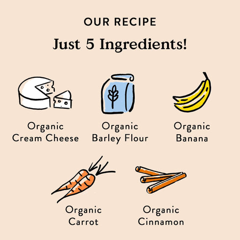 Bocce's Bakery All-Natural, Small Batch, Organic Dog Treats, Spiced Cake Biscuits, Wheat-Free, Limited-Ingredient, Made in The USA with 100% Recyc...