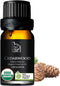 Organic Atlas Cedarwood Essential Oil - 100% Pure, Therapeutic Grade for Aromatherapy, Skin Care, Diffuser - 10ml Oil by B BONNIE HOUSE...