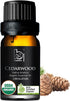Organic Atlas Cedarwood Essential Oil - 100% Pure, Therapeutic Grade for Aromatherapy, Skin Care, Diffuser - 10ml Oil by B BONNIE HOUSE...