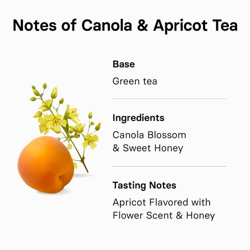 OSULLOC Canola & Apricot Tea (Aromatic Canola flower & Apricot), Premium Blended Tea from Jeju, Tea Bag Series 20 count...