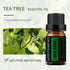 Lavender, Patchouli, Tea Tree Essential Oil, 100% Pure Organic Diffuser Oils...