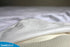 SureGuard Mini Crib Mattress Protector - 100% Waterproof, Hypoallergenic - Premium Fitted Cotton Terry Cover for Portable Pack n Play...