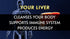 Liverite Liver Aid 120 Tablets, Liver Support, Liver Cleanse, Liver Care, Liver Function, Energy....