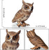 Simulated Owl Model Figure Toy, Realistic Owl Animal Figurines Collection Playset Home Decor Science Educational Props Toys...