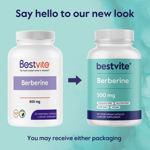 BESTVITE Berberine 500mg Per Capsule (120 Vegetarian Capsules) - No Fillers - No Stearates - No Flow Agents - Vegan - Gluten Free - Non GMO...