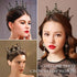 Aiosy Halloween Black Crown Rhinestone Tiara and Crowns Crystal Queen Tiara Gothic Hair Accessories Wedding Crowns Costume Baroque Crown for Women...