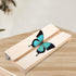 Yardwe Specimen Display Board Pinning Board Adjustable Labs Boards Butterfly Mounting Specimen Spreading Wings Board for Science Education...
