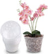 YIKUSH Orchid Pots with Holes Clear Orchid Pot Plastic Plant Pot Flower Pots Outdoor and Indoor Use 5.5 inch 10Pack...