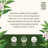 Banyan Botanicals Gotu Kola (Centella Asiatica) – Organic Adaptogen & Nootropic Brain Support Supplement for Healthy Memory & Concentration* – 90 ...