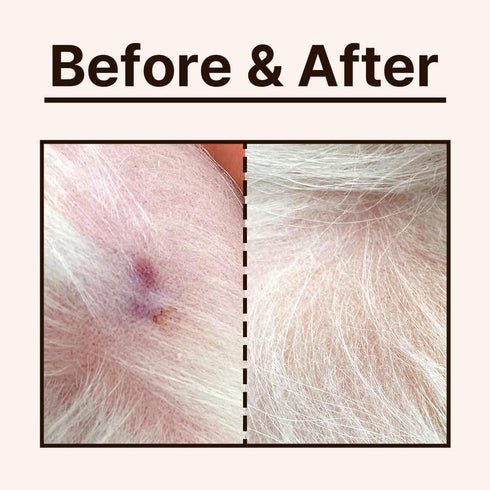 BYLAB Skin Care Dog pet Skin Disease kucing Sensitive Ointment Cream, white...