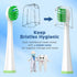 Replacement Toothbrush Heads for Waterpik Sonic Fusion (SF-01 / SF-02 / SF-03 / SF-04), Compact, with Covers, 8 Count, White...