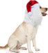 Funny Pet Reindeer Moose Costumes for Dog, Cute Furry Pet Wig for Halloween Christmas, Pet Clothing Accessories (Santa Claus, Size M)...