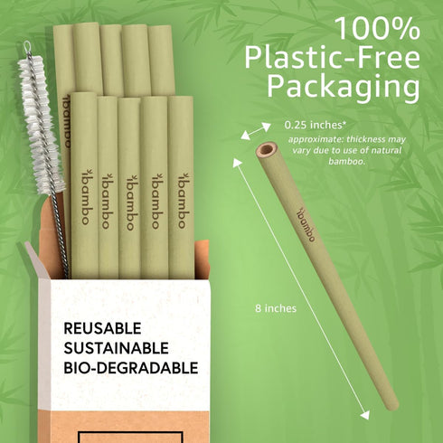 100% Bamboo Straws (10-Pack) - Biodegradable & Compostable 8 Inch Reusable Straws with Cleaner | FSC Certified, Eco Friendly | Hand Wash & Dishwas...