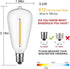 Couah 10 Pack Edison LED Light Bulbs, 0.6 watt E12 Screw Base Replacement Bulbs, LED Shatterproof Bulbs ST38 Clear Plastic Light Bulbs for Outdoor...