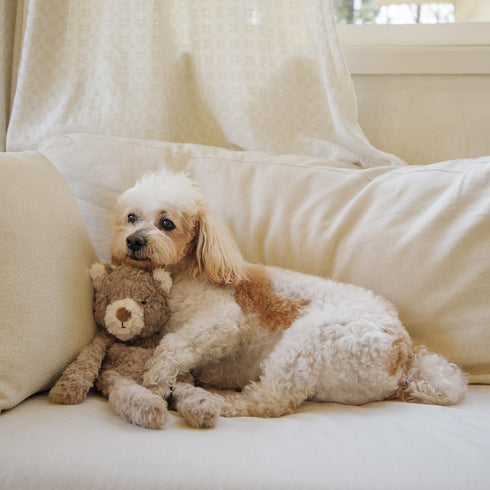 Stuffless Dog Toy, Plush Puppy Squeaky Toy with Bear Design for Foraging Snuggling Fetch Retrieve, No Stuffing Crinkle Snuffle Puzzle Chew Toy for...